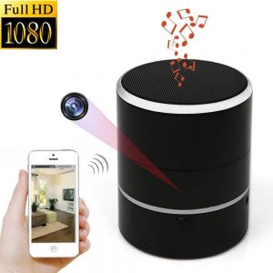 camera ngụy trang giám sát wnat
